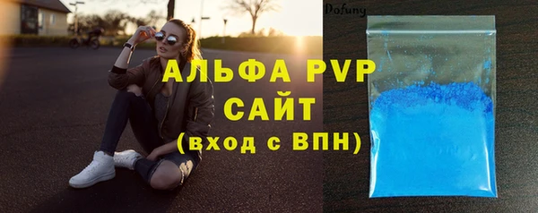 стафф Алексин