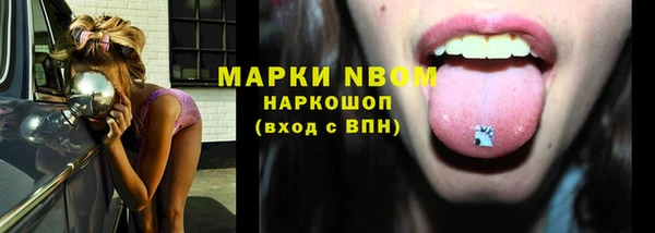 стафф Алексин