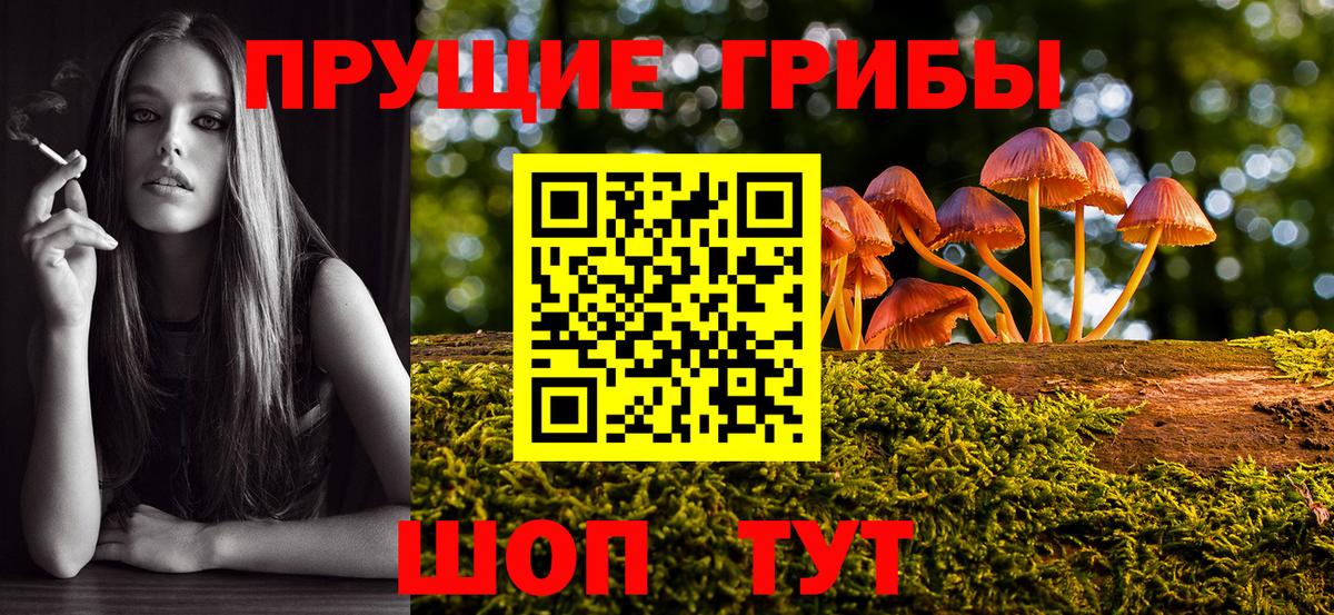 Галлюциногенные грибы Cubensis Аша