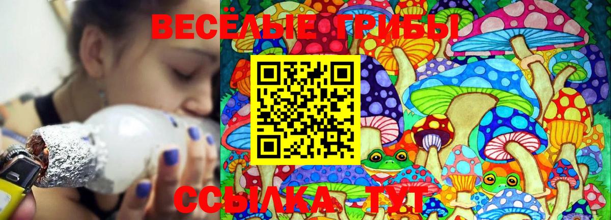 Галлюциногенные грибы Cubensis  как найти закладки  Псилоцибиновые грибы GOLDEN TEACHER  Аша  Вход с VPN 